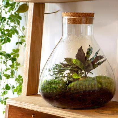 DIY terrarium – Sammie