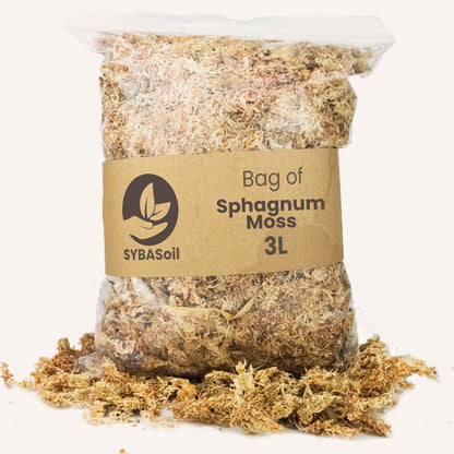 Sphagnum Moos 3L