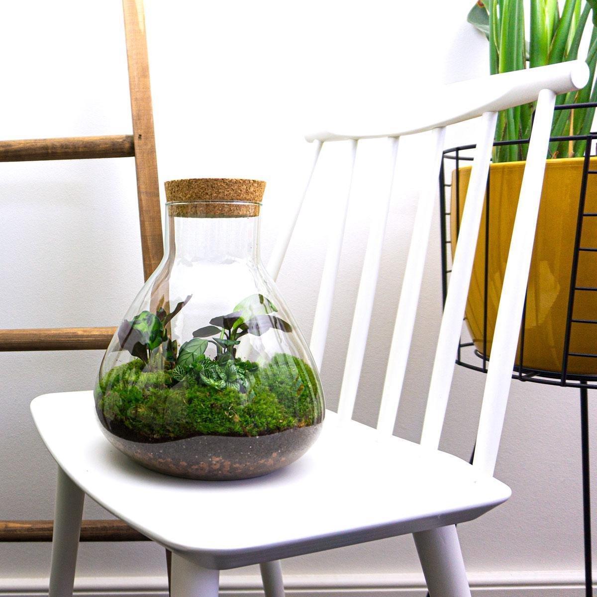 DIY terrarium – Sammie