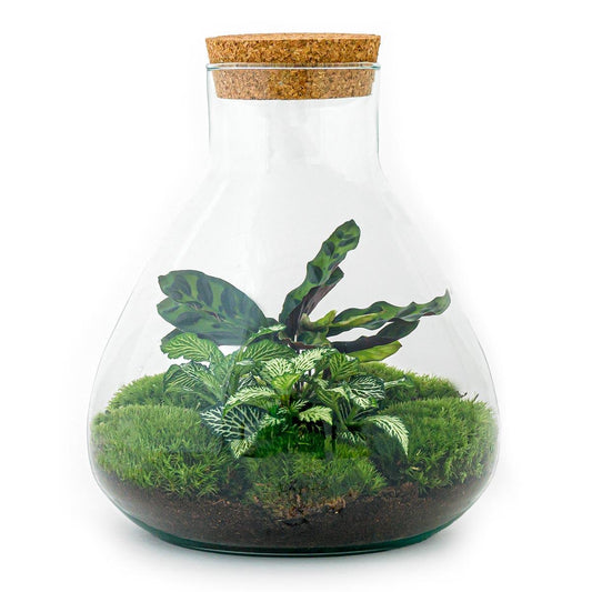 DIY terrarium – Sammie